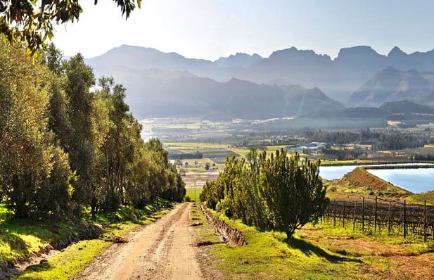 Boschendal Wine Estate cycling, Day 3 of Cape Winelands Cycling