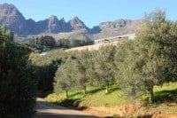 Hidden-Valley-Estate-Stellenbosch-Cape-Winelands-Cycling-tour-South-Africa