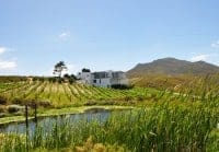 LAVIERGE ESTATE, Hermanus Wine route cycling